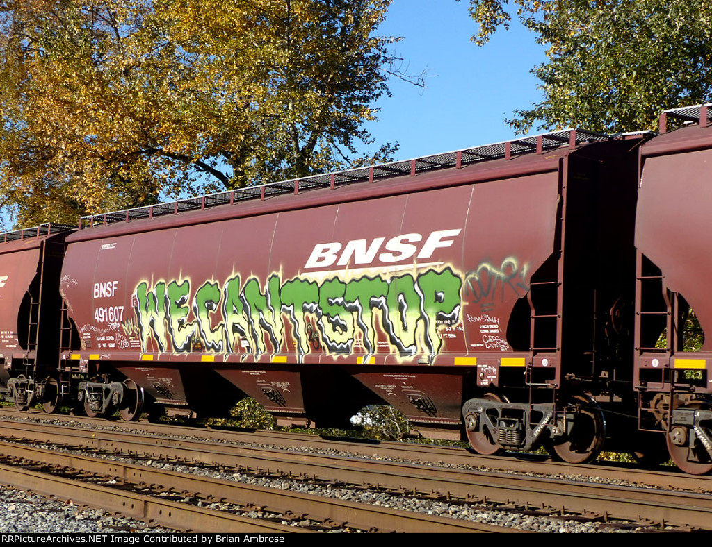 BNSF 491607